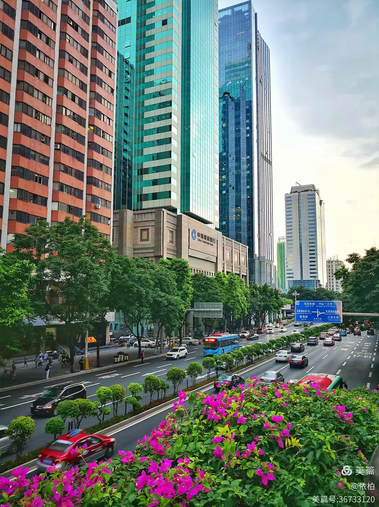 手机里的广州(1)家门口东风中路